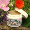 bylinna regeneracna 1
